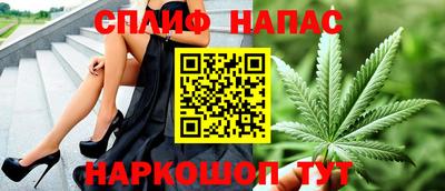 дживик Моздок